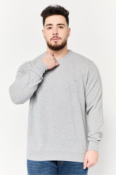 Harmont & Blaine Men Crew Neck Embroidered Logo Sweater, Grey