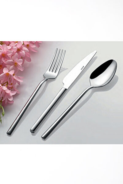 AHİR TİCARET Inter Steel Işıl Model Tablespoon 12 Pieces