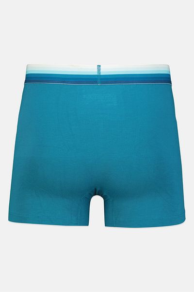 French Connection Men 1 Pack Brand logo Trunks, Teal