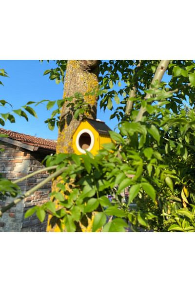 WoodenZoo Wooden Decorative Bird House Nest, Nest, Balcony, Garden Accessory Set of 5 (Yellow)