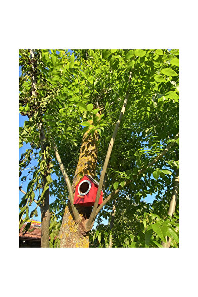 WoodenZoo Wooden Decorative Bird House Nest, Nest, Balcony, Garden Accessory Set of 5 (Red)