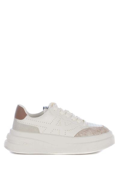 Ash Ash Sneakers "Impuls"