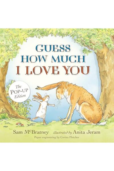 IDW Publishing مجموعة تي إم إن تي النهائية