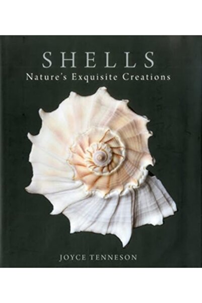 Ballantine Books Inc. ريزولي آند آيلز استمع إليّ: رواية