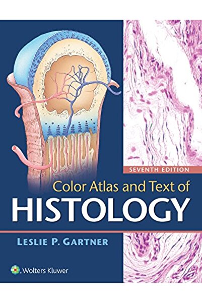 Hachette ميراكولوس تي 12 ميراكولوس تي 12 نجم تلفزيوني