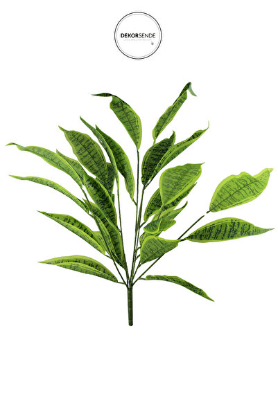 Dekorsende Yapay Paşa Kılıcı Demeti Yeşil 55 cm