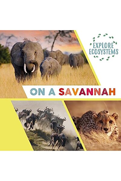 WAYLAND استكشاف النظم البيئية: في السافانا