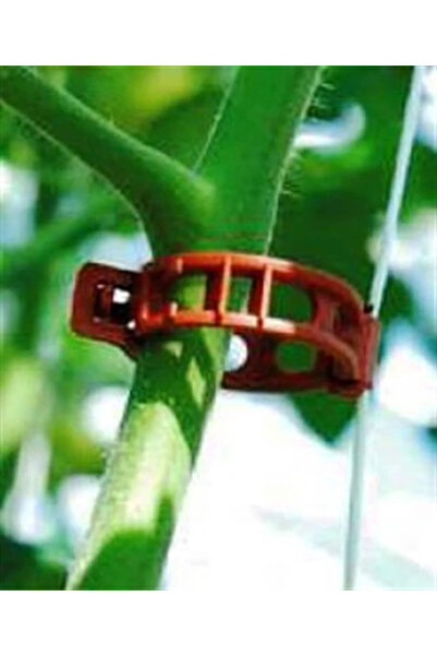 AGROONE BİTKİ KLİPSİ DOMATES KLİPSİ GÖVDE KELEPÇESİ 30 ADET