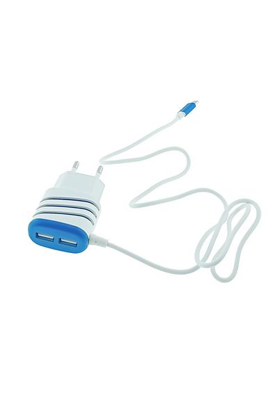 OEM Mains charger set, 3.1A, 2 X USB, Elworld JXL-222, with USB Type C male cable, white with blue