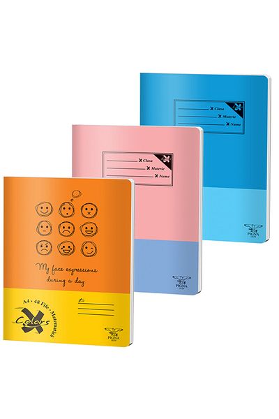 PIGNA Notebook A4 48 Files Arithmetic Basic Pigna