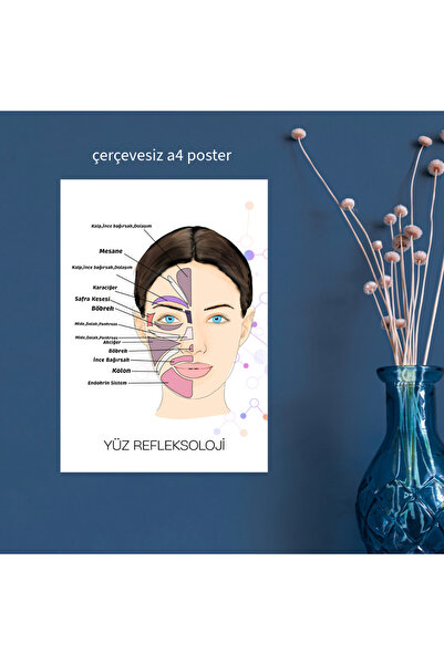 Fatofotofan Akupuntur Yüz Refleksoloji Haritası A4 Çerçevesiz Poster