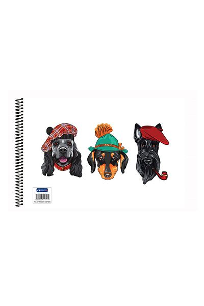 FLY COLOR 25X35 P.P Cover Detachable Sheets Ring Binder Picture Notebook Patterned 25 Sheets