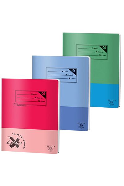 PIGNA Notebook A4, 48 Files, Dictation, Basic,