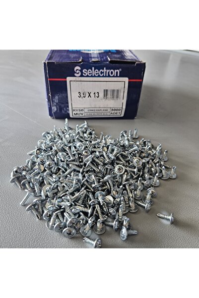 Selectron 3.9X13 RYSB MUV Yıldız Pul Başlı Matkap Uçlu Vida 3000 Adet