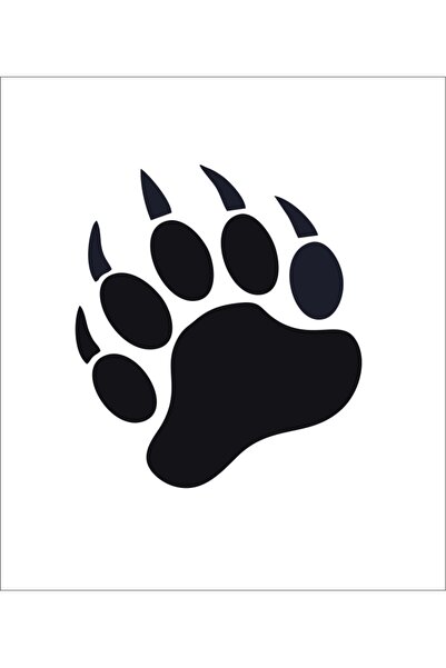 Ayı Pençesi Sticker Yapıştırma