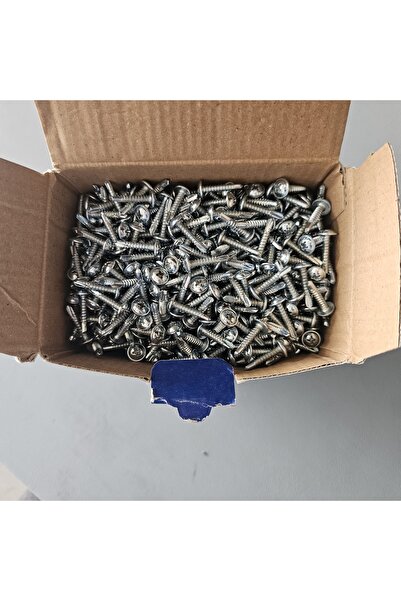 Selectron 3.9X19 YFB MUV Yıldız Pul Başlı Matkap Uçlu Vida 2500 Adet