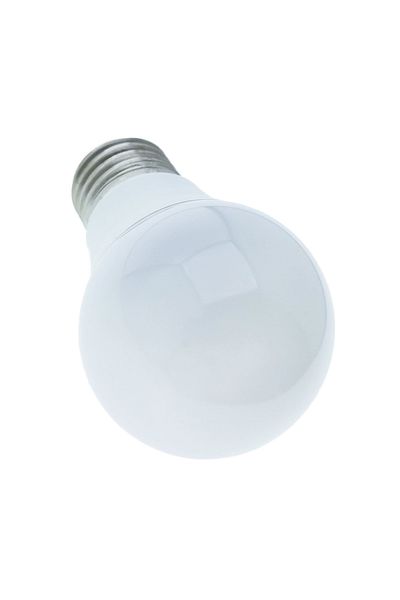 OEM Classic LED bulb E27, 5W, 6500K, 400 lm, cold light