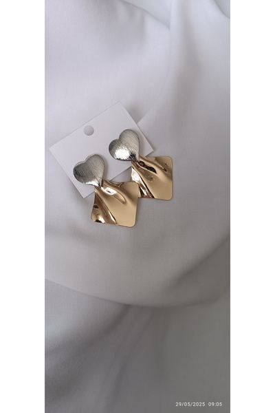 ARİ TAKI Double Color Heart Steel Earrings