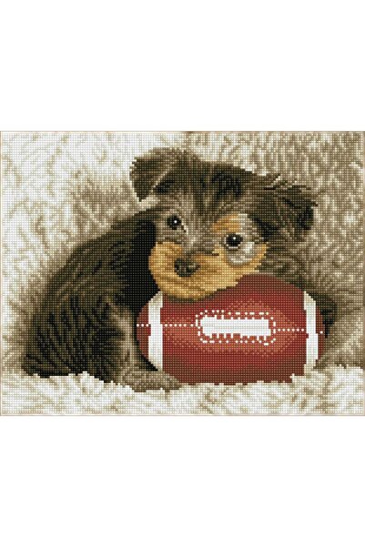 OEM Set de creatie mozaic Diamond dotz Footy Pup