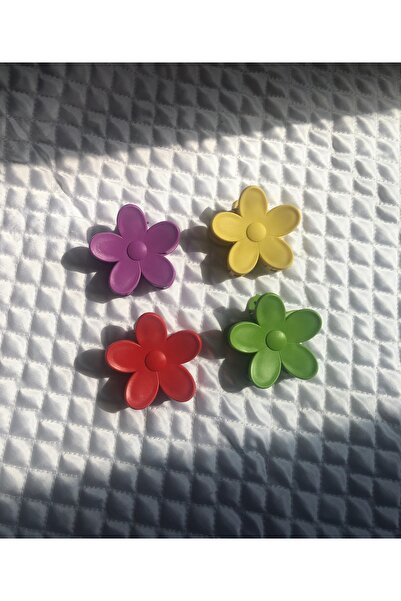 eklips مجموعة من 4 مشابك ملونة على شكل زهرة الأقحوان