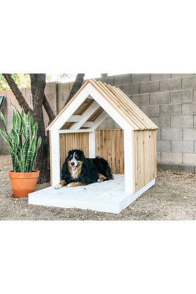 MEVOLE TASARIM El yapımı - ahşap köpek evi - köpek kulübesi - lüks köpek evi