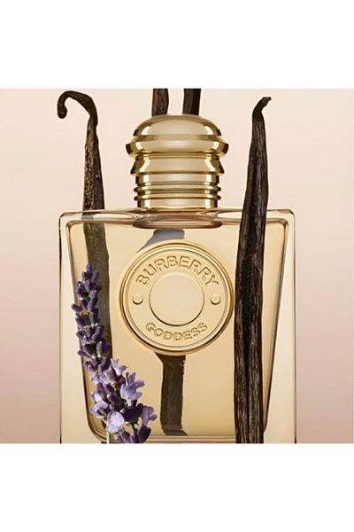 Elitel Burberry Spray Eau de Parfum for Women by Godis, 100ml