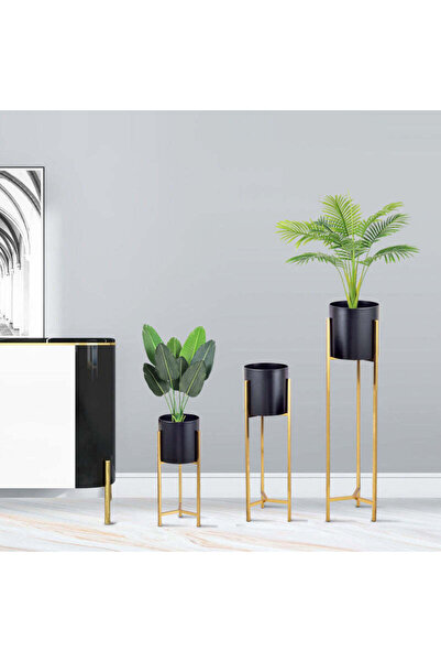 E.V.A. Home Decor مزارعي السامبوكس