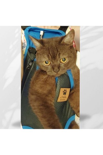 Epatim Cat and Dog Carrier