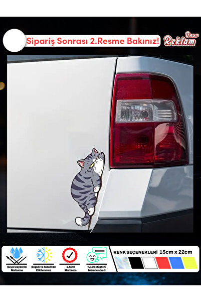 Onur Reklam 3’lü Sevimli Kedi Sticker Seti – Araba Camı & Laptop & Kask Etike...