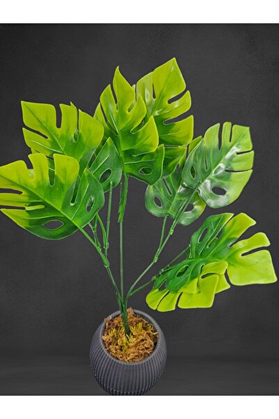 YASİMA زهرة دي فينباهايا الخضراء للديكور المنزلي مزهرية صغيرة الحجم 41 سم