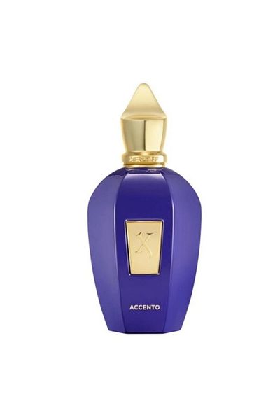 Xerjoff Tester Xerjoff Accento Eau de Parfum 100ml (without box)