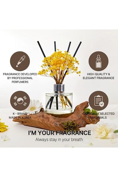 cocod'or Preserved Flower Reed Diffuser/Flower Garden/6.7oz/1 Pack