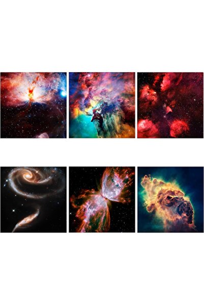 pococo Realistic Projection Slides for Galaxy Lite Star Projector (Slide Set, Projector Not Included