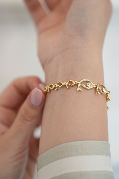 Ladies&Gentlemen سوار من الفولاذ على شكل سمكة