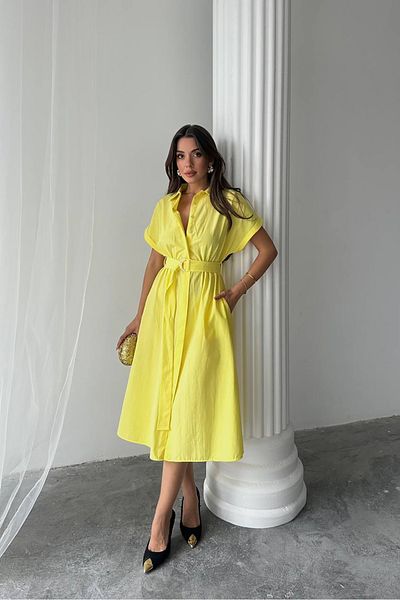 Neşeli Butik Women's Poplin Fabric Shirt Dress Nbg094