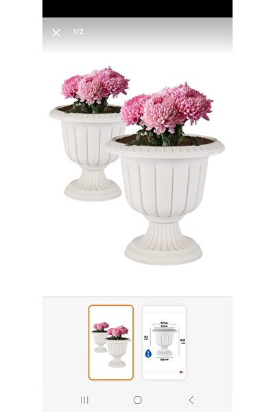 polivahome 2 Adet 0,5 Litre Nergis Saksı Ayaklı Plastik Çiçek Saksısı