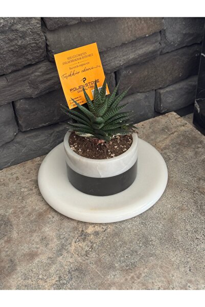 Polen Stone Jardinieră din marmură naturală – Set de 2 piese