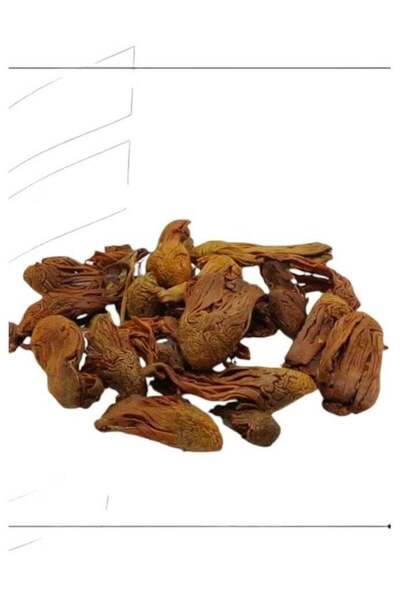 Seeds بسبسة عشبة 250 جرام