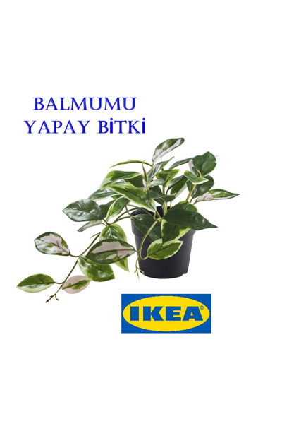 IKEA FEJKA BALMUMU YAPAY BİTKİ, 9 cm, İÇ ve DIŞ MEKANLAR İÇİN