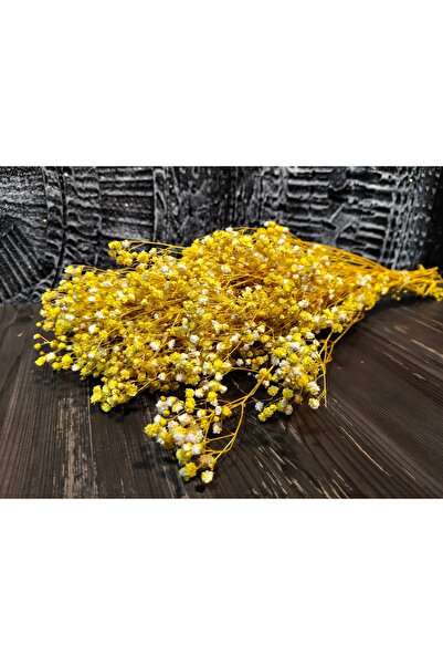 ÇINARASYADAHOME Şoklanmış Cipso (BAHAR YILDIZI) Gelineli Hediye Söz Nişan Süsleme Çiçeği Kuru Çiçek