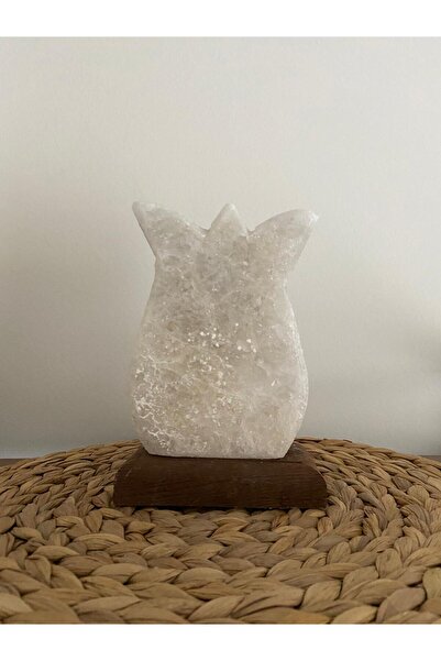 shop Kaya Tuzu Lambası Doğal Lale Model