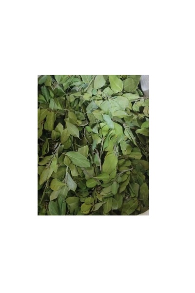 Derya Eren Sidr Leaf Powder (Zizyphus Spina), Arabian Cherry Leaf, 50Gr, Derya Eren