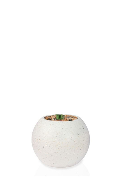 Generic Artificial banana leaf seedling (18 branches) in a round plastic container