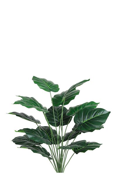 Generic Artificial Dark Heart Leaf Seedling (Alocasia 18 Branches) in a Plastic Cylinder Pot
