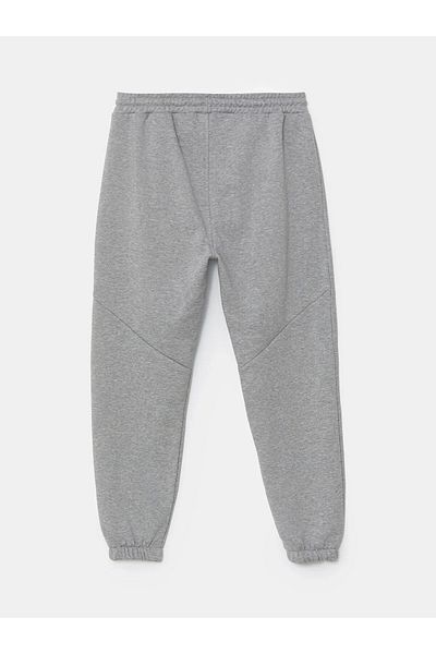 LC Waikiki Ανδρικό χοντρό παντελόνι Jogger Standard Fit