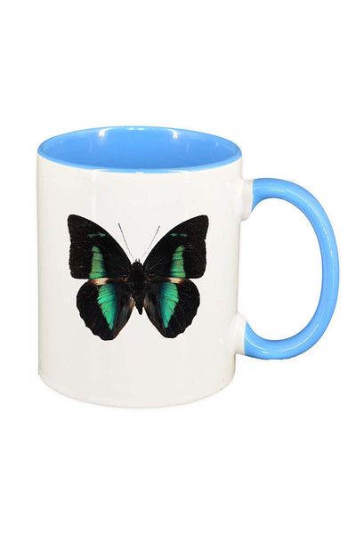 INOVATIX Personalized white mug, Butterfly, blue interior, D205, INOVATIX®. 330ml