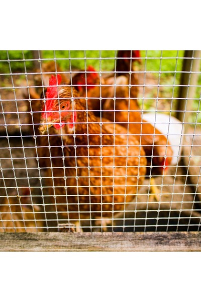 HALL BREATHE Hasır Tel 2,50 Mm, 2x2 Cm, 100x200 Cm, Kaynaklı, Bahçe, Tarım, İ...