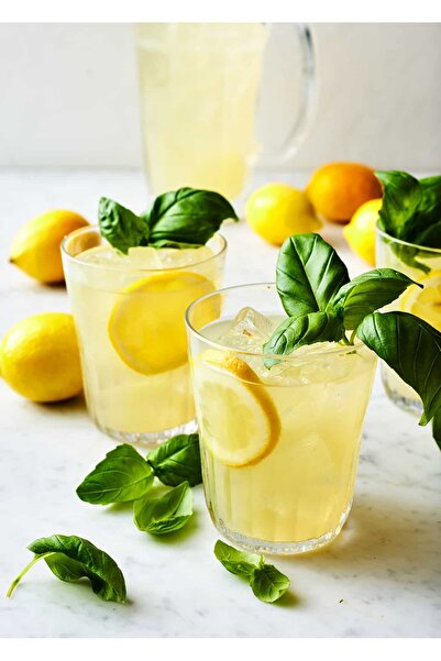 SİLİFKE MARKET Klasik Doğal Limonata Özü Konsantre Donuk 1 lt (5 lt Elde Edilir)