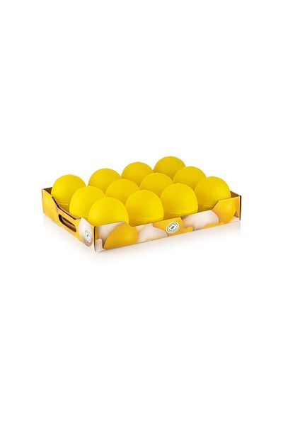 Mons Lemon Storage Container Bpa Free Lemon Storage Container Cut Lemon Half Lemon Storage Container
