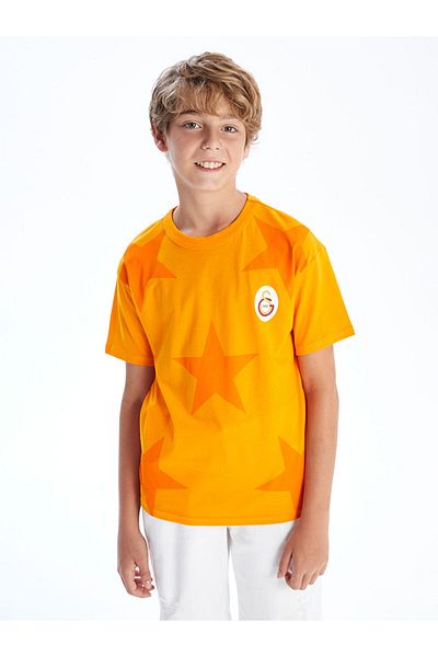 LC Waikiki Sari Crew Neck Printed Boy's T-Shirt